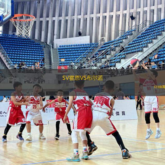SV霍恩VS布爾諾