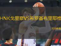 HNK戈里察VS希羅基布里耶格