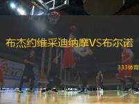 布杰約維采迪納摩VS布爾諾