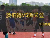 茨伯翰VS斯文登