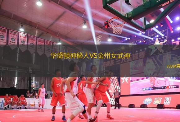 華盛頓神秘人VS金州女武神