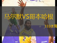 馬爾默VS哥本哈根