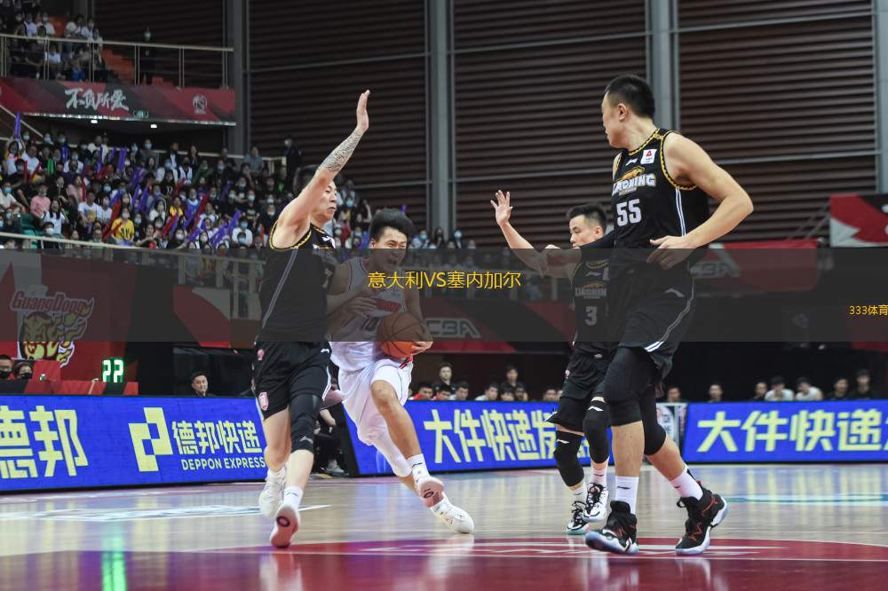 意大利VS塞內(nèi)加爾